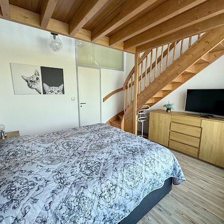 Miky Apartman Klinovec Garden Loucna pod Klinovcem Exterior photo